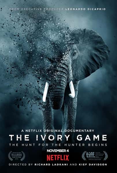 [][̽]¼ƬϷ / The Ivory Game-Ѹ