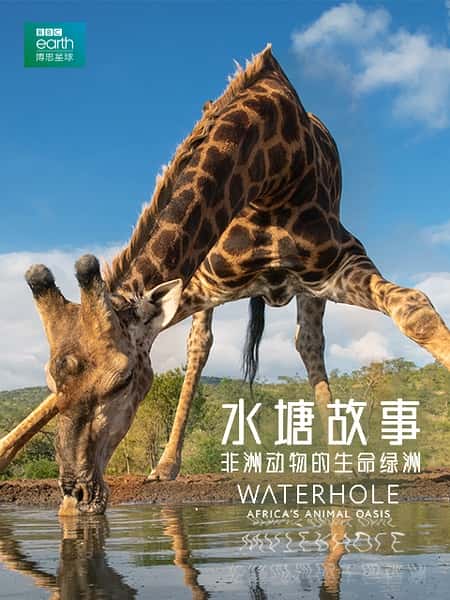 ¼Ƭˮ£޶ / Waterhole Africa's Animal Oasis-Ѹ