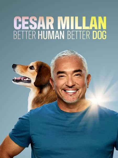 [][̽]¼Ƭ̹ٹѵ 2-3 / Cesar Millan: Better Human Better Dog Season 2-Ѹ