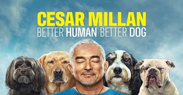 [][Ȼ]¼Ƭ̹ٹѵ ڶ / Cesar Millan: Better Human Better Dog Season 2-Ѹ