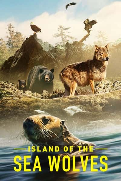 ¼Ƭ֮ / Island of the Sea Wolves-Ѹ