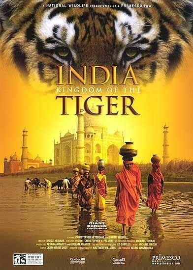 ¼Ƭӡȣϻ / India: Kingdom of the Tiger-Ѹ