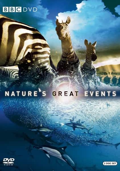 ¼ƬȻ¼ / Nature's Great Events-Ѹ