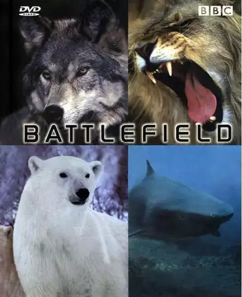 ¼Ƭɱ¾ս / Animal Battlefield-Ѹ