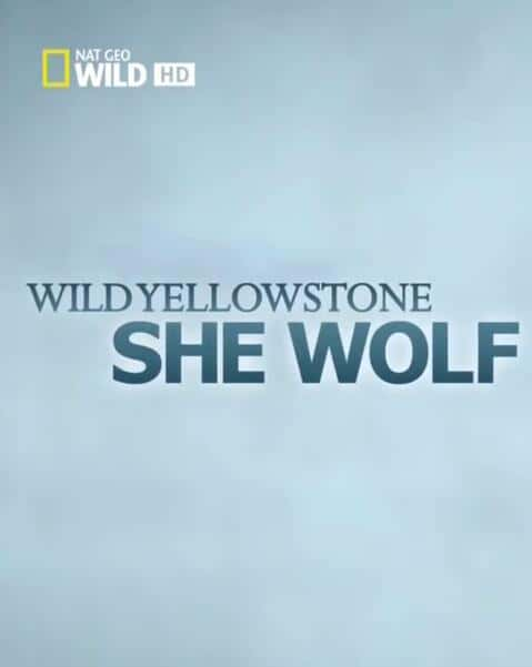 ¼Ƭʯ԰ĸ / Wild Yellowstone: She Wolf-Ѹ