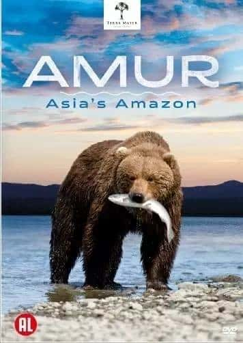 ¼Ƭ¶-޵ѷ / AMUR-Ѹ