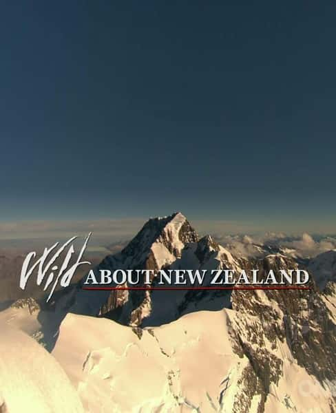 ¼ƬĿҰ֮ / Wild About New Zealand-Ѹ