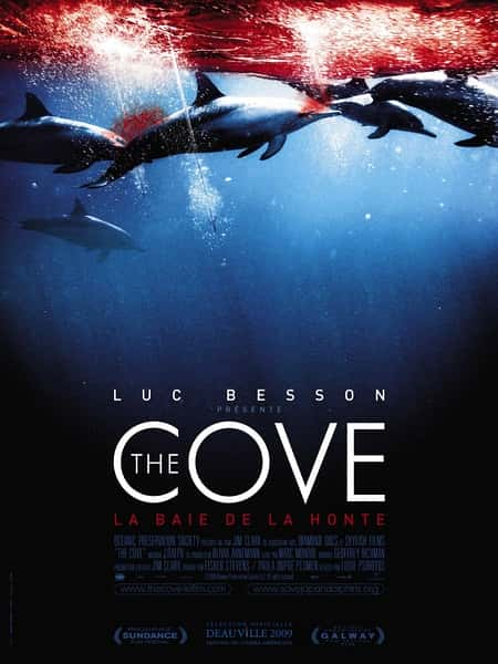 纪录片《海豚湾 The Cove》全集[720P][有字幕][网盘]