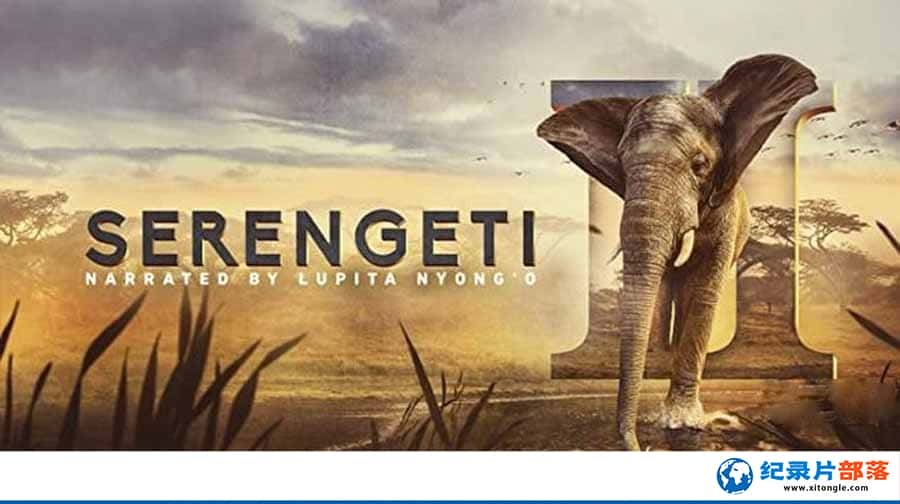 BBCȻ̬¼Ƭ׸ǵ Serengeti2ȫ6  -Ѹ