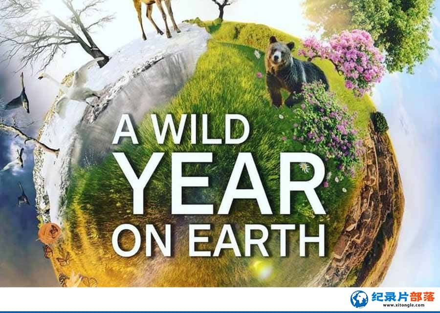 BBCȻ̬¼ƬҰ A Wild Year on Earthȫ6  /MKV/20.5G-Ѹ