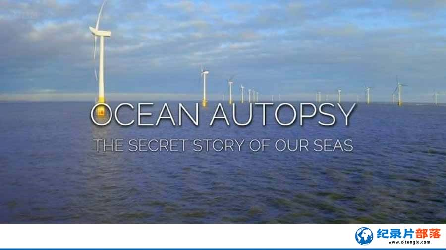 BBC¼ƬʺǺ Ocean Autopsy: The Secret Story of Our Seasȫ1  /-Ѹ