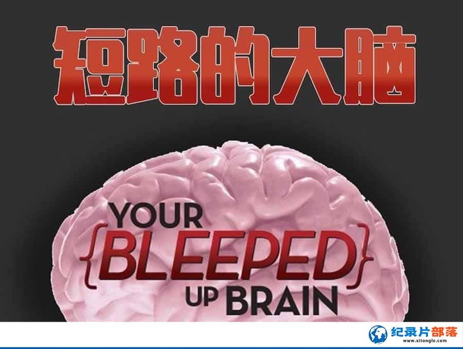 Գ֮ռ¼Ƭ·Ĵ Your Bleeped up Brain1ȫ4  /-Ѹ