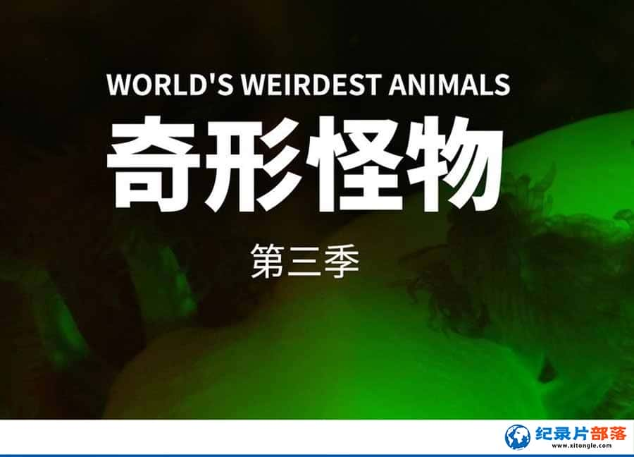 ҵҰ¼Ƭι Worlds Weirdest3ȫ4  -Ѹ