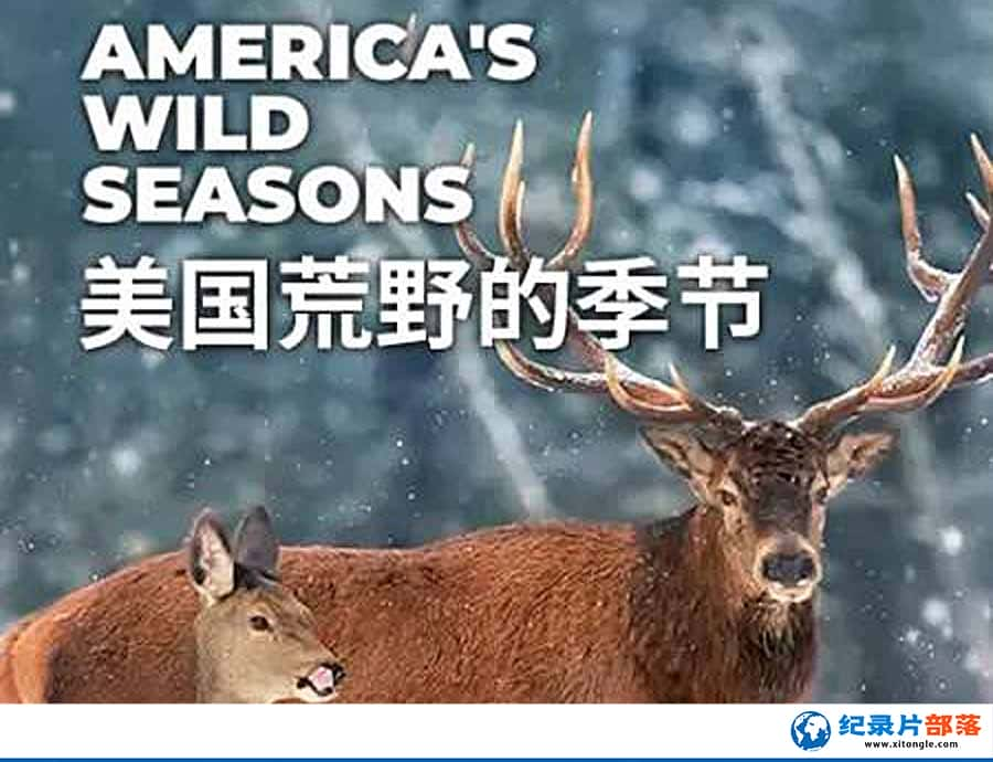 Ȼ̬¼ƬҰļ Americas Wild Seasonsȫ4  -Ѹ