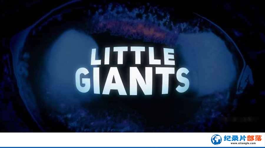 ̽Ƶ﹥о¼ƬСݽɫ Little Giantsȫ20  /-Ѹ