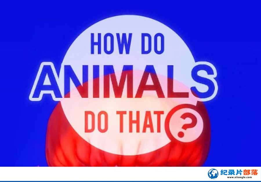 ̽Ƶϰо¼ƬŹ How Do Animals Do Thatȫ20  /-Ѹ