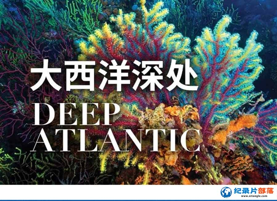 ̬¼Ƭ Deep Atlanticȫ2  /-Ѹ