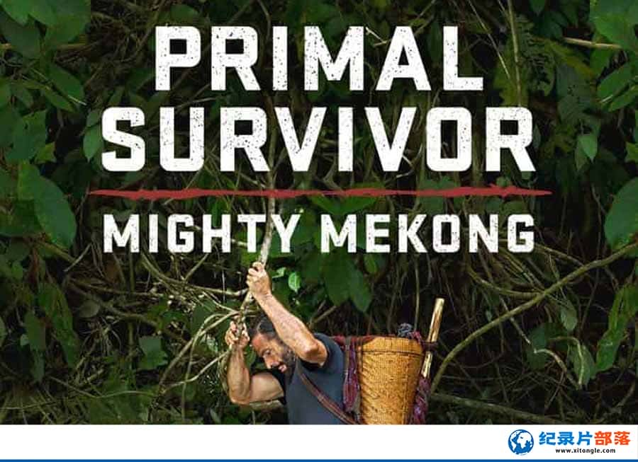 ҵҰ¼Ƭԭʼǣع Primal Survivor: Mighty Mekongȫ6  /MKV/15.1G-Ѹ