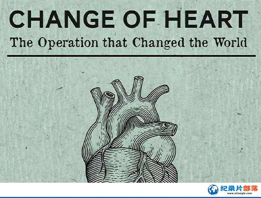 ҽƼ¼Ƭࣺı Change of Heartȫ1  /-Ѹ