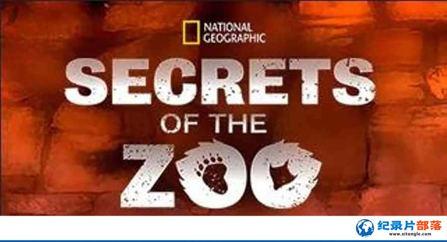 ҵζ¼Ƭ԰ Secrets of the Zoo 1ȫ6-Ѹ