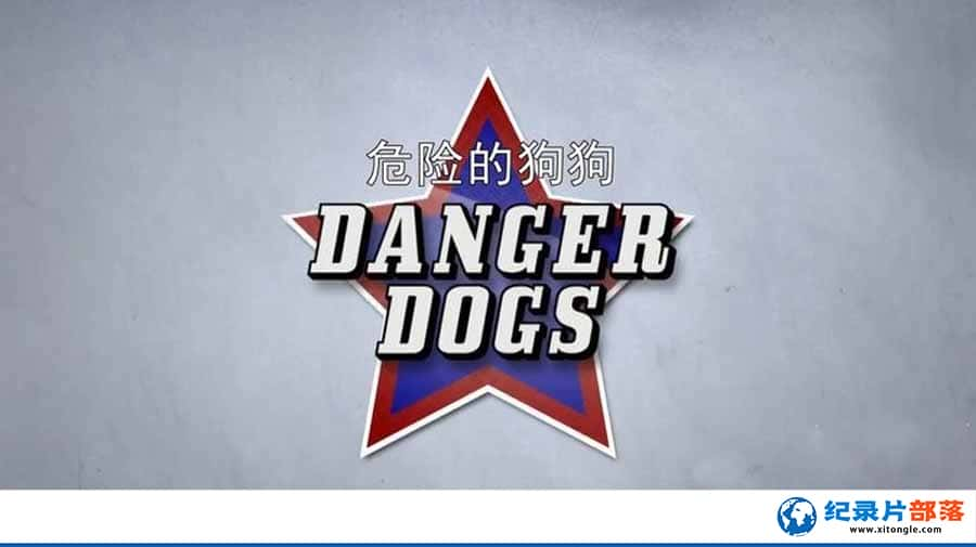 Ȯɼ¼ƬΣյĹ Danger Dogsȫ12-Ѹ