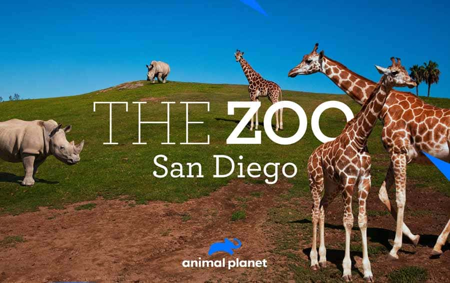 ̽Ƶﱣ¼ƬʥǸ綯԰ The ZooSan Diego1ȫ9-Ѹ