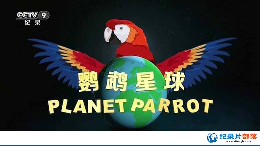 ¼Ƭ Planet Parrot-