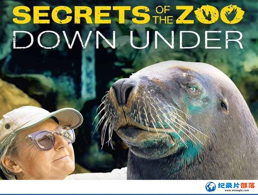 ¼Ƭ԰ܣ Secrets of the Zoo: Down Under-