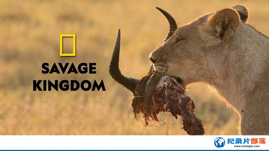 ¼ƬҰ Savage Kingdom-