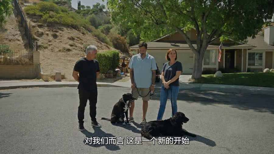 ¼Ƭ̹ٹѵ Cesar Millan: Better Human Better Dog-