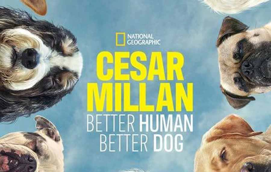 ¼Ƭ̹ٹѵ Cesar Millan: Better Human Better Dog-