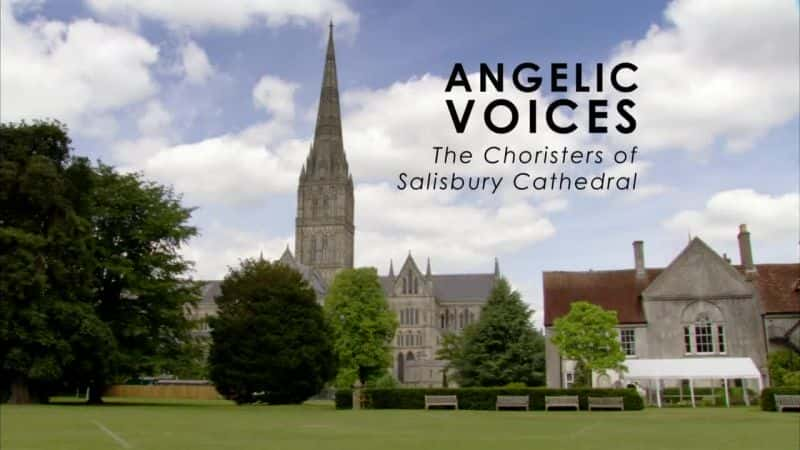 ¼ƬʹSalisbury CathedralChoristers/Angelic Voices: The Choristers of Salisbury Cathedral -Ѹ