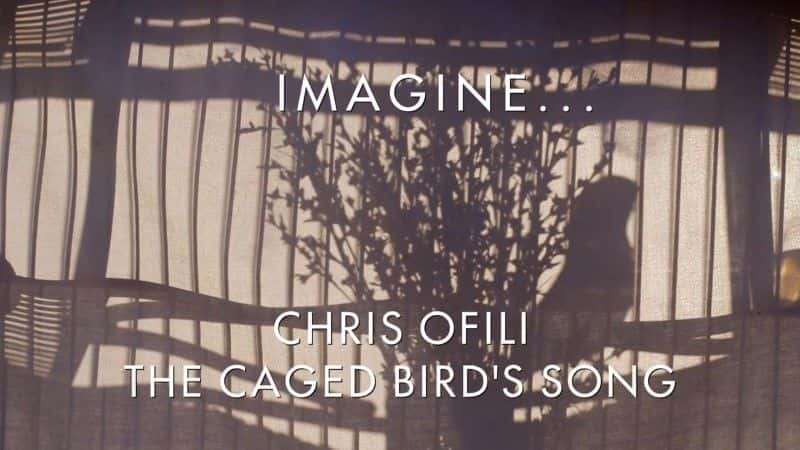 ¼Ƭеĸ/The Caged Bird's Song -Ѹ