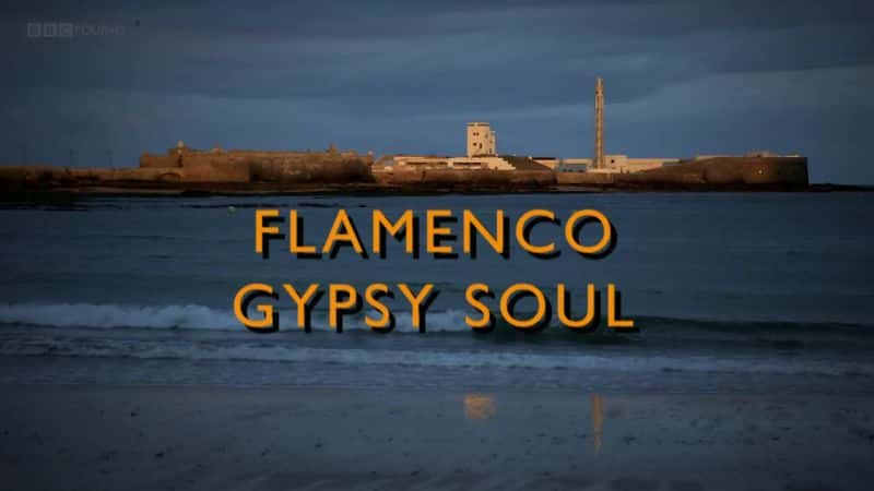 ¼ƬŸ꣺֮/Flamenco: Gypsy Soul-Ļ