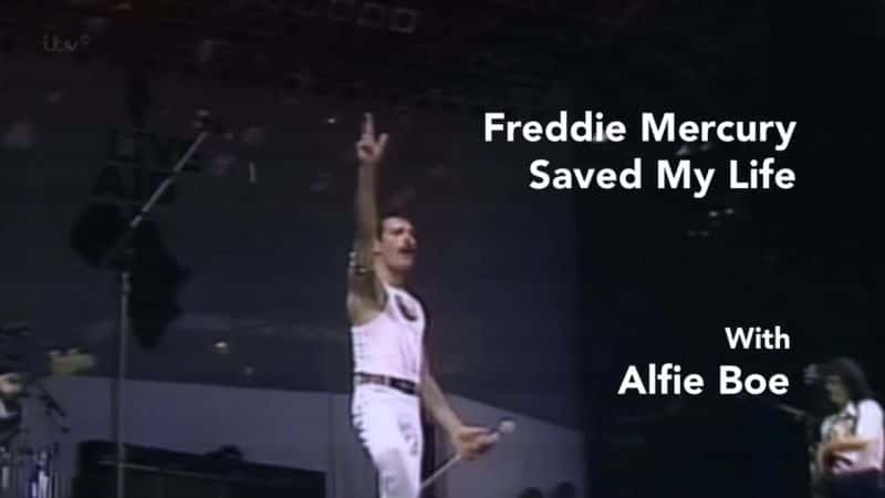 ¼Ƭ׵ϡĬҵ/Freddie Mercury Saved My Life-Ļ