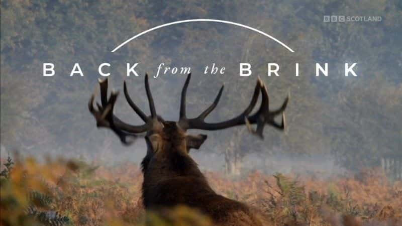 ¼Ƭ±Ե/Back from the Brink-Ļ