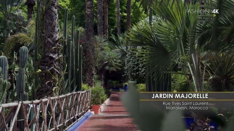 ¼Ƭ׶԰/Jardin Majorelle-Ļ