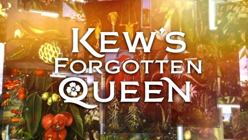 ¼Ƭ׶ֲ԰Ů/Kew's Forgotten Queen-Ļ