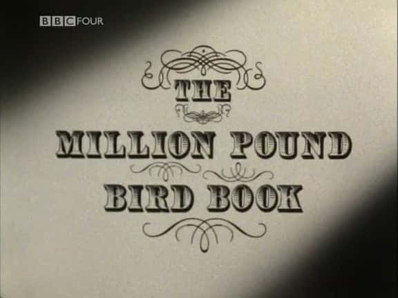 ¼ƬӢͼ/Million Pound Bird Book-Ļ