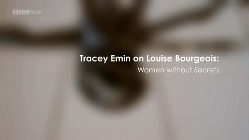 ¼Ƭ·˿ǣûܵŮ/Louise Bourgeois Women Without Secrets-Ļ