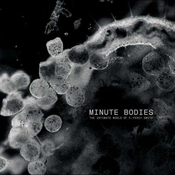 ¼Ƭ΢СF. Percy Smith/Minute Bodies: The Intimate World of F. Percy Smith-Ļ