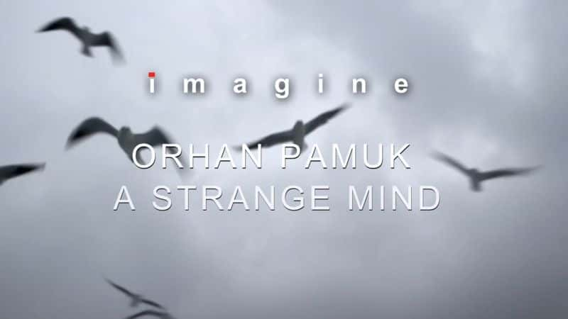 ¼Ƭ¶Ľˣһֵ˼ά/Orhan Pamuk: A Strange Mind-Ļ