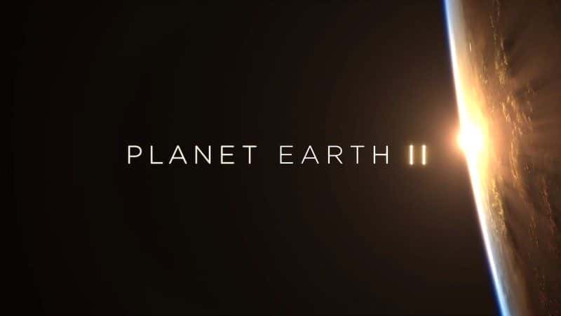 ¼ƬIIб/Planet Earth II Playlists-Ļ