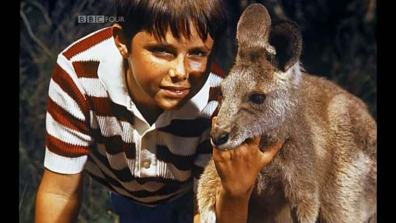 ¼Ƭ˹ - Ĵǵĵһ/Skippy - Australia's First Superstar-Ļ