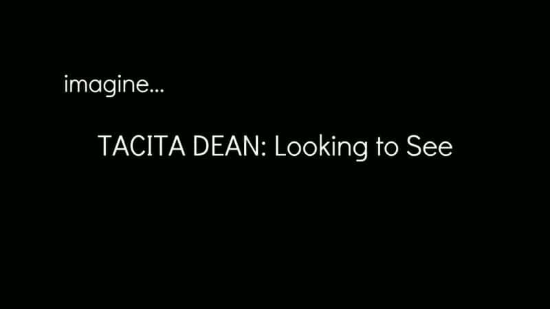 ¼Ƭ϶Ѱ/Tacita Dean: Looking to See-Ļ