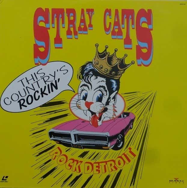 ¼Ƭèֶӣҵҡ/Stray Cats: This Countrys Rockin-Ļ