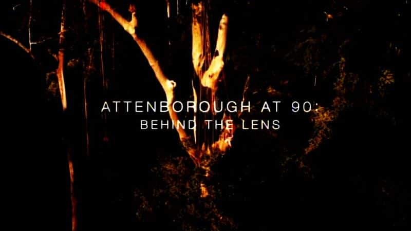 ¼Ƭ90꣺ͷ/Attenborough at 90: Behind the Lens-Ļ