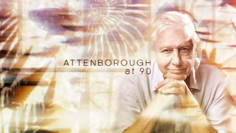 ¼Ƭ90/Attenborough at 90-Ļ