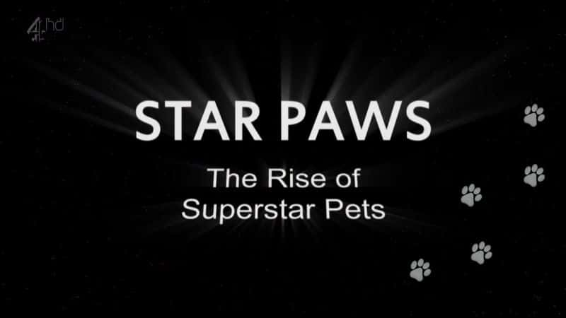 ¼Ƭצӣǳ/Star Paws the Rise of Superstar Pets-Ļ