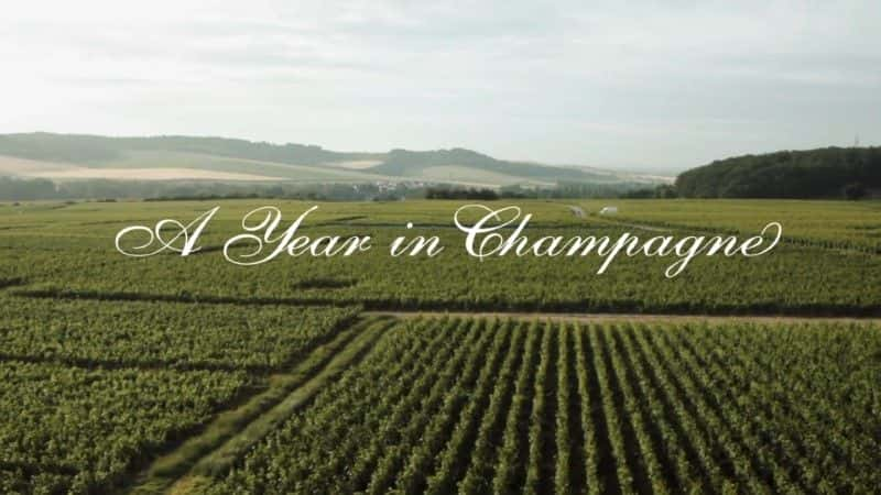 ¼Ƭĵһ/A Year in Champagne-Ļ